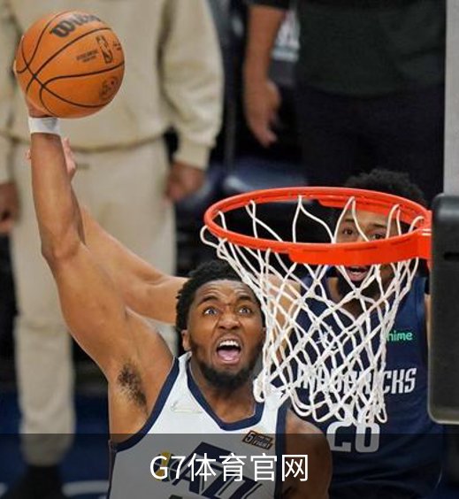 G7体育官网简介